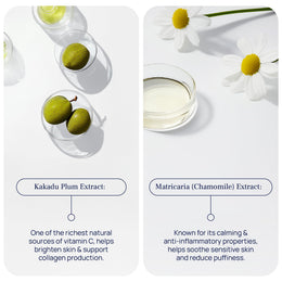 PUREANCE Hot&Cold Beauty Instrument & Lift&Glow Eye Cream